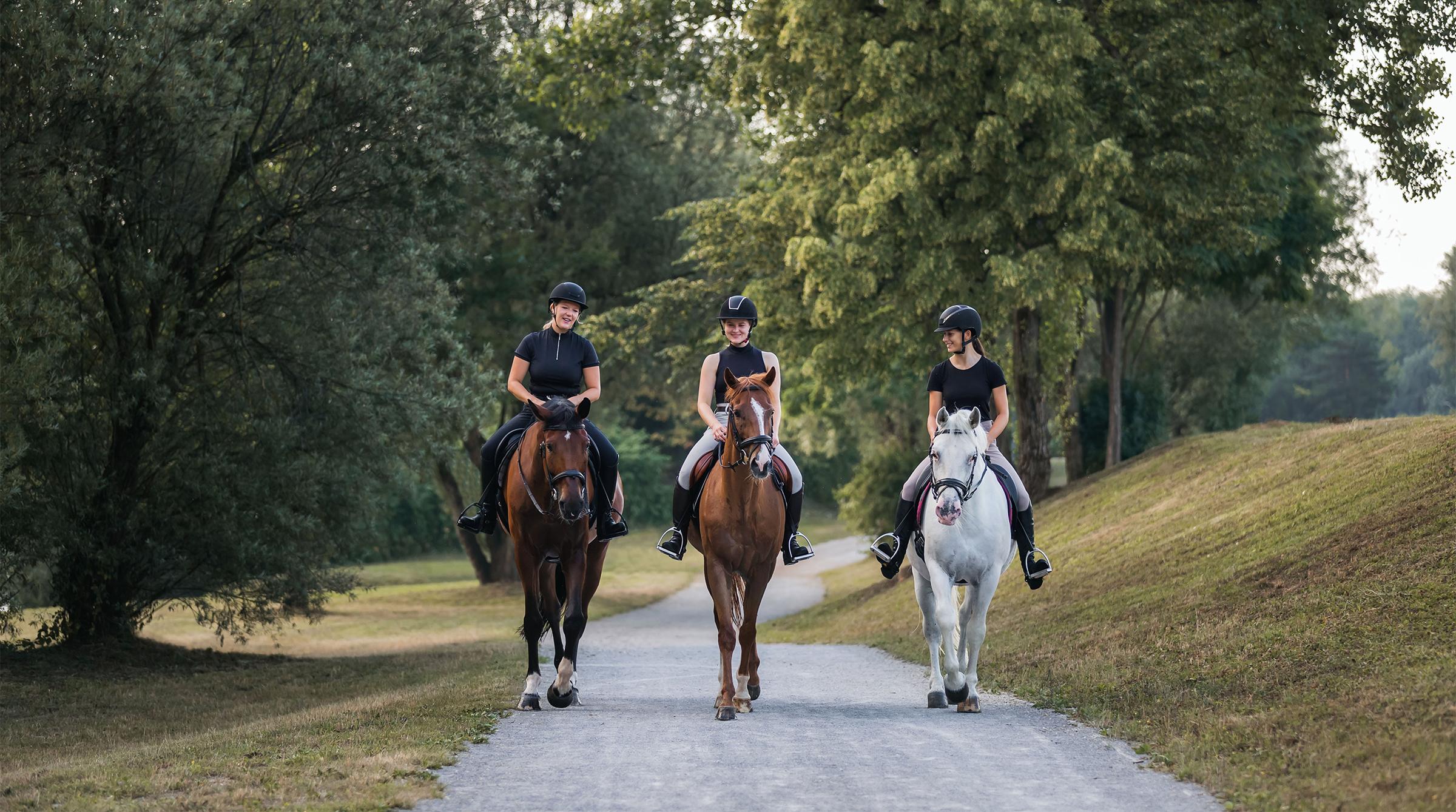Veterinären och forskaren Cecilia Lönnell delar med sig av sina råd för en frisk och lycklig häst – från rätt utfodring och träningsplan till återhämtning och en bra miljö. Foto: Adobe Stock