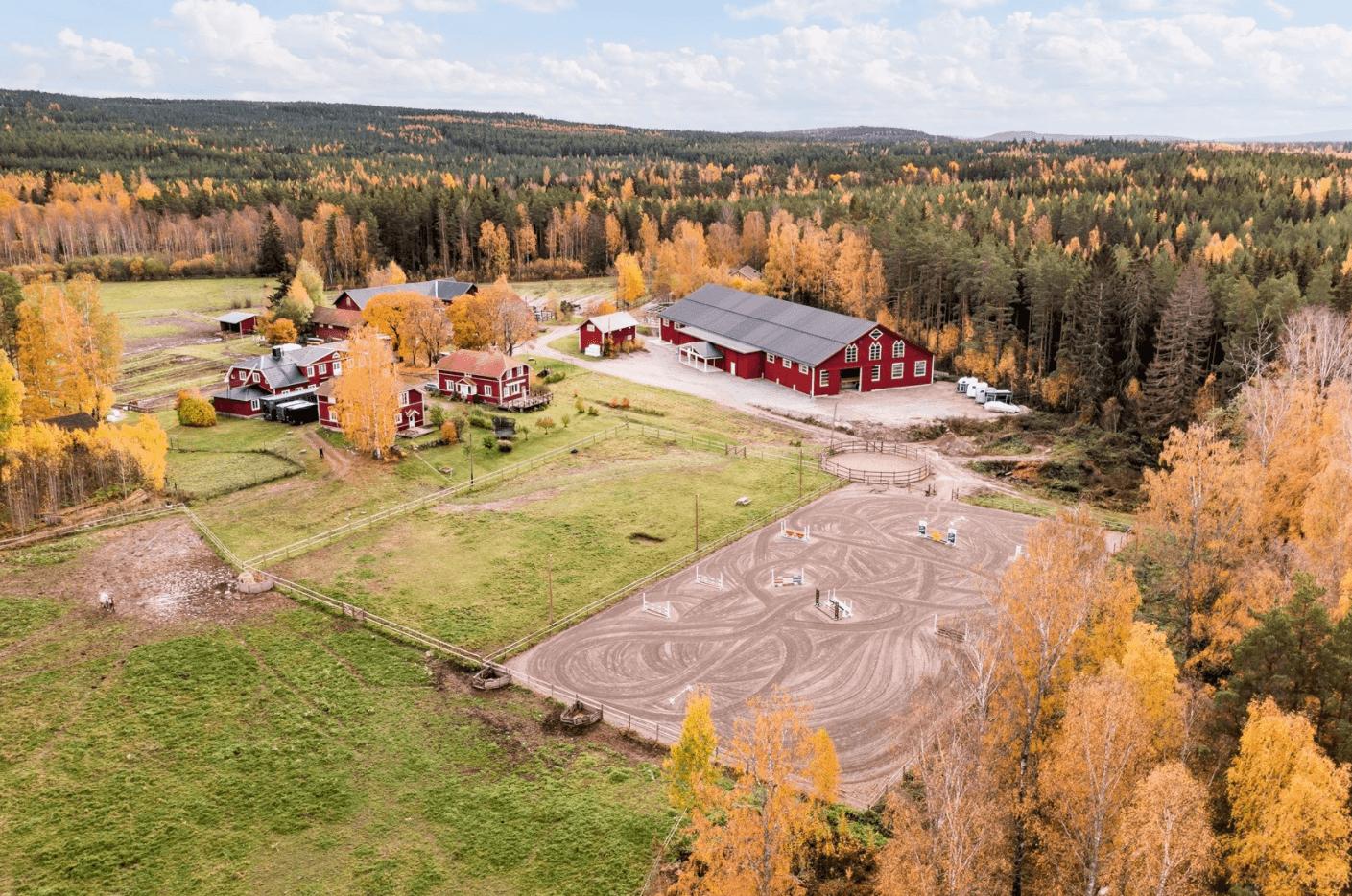Foto: Kristofer Skog