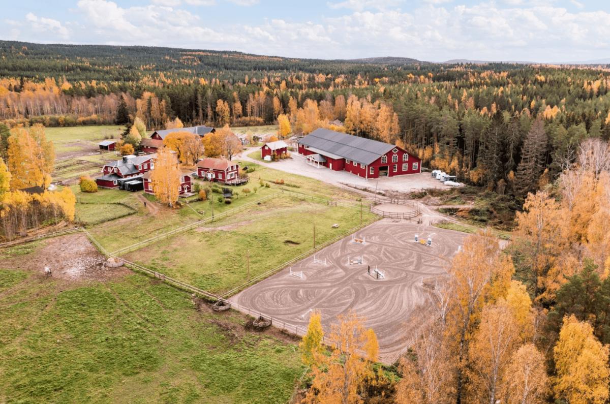Foto: Kristofer Skog