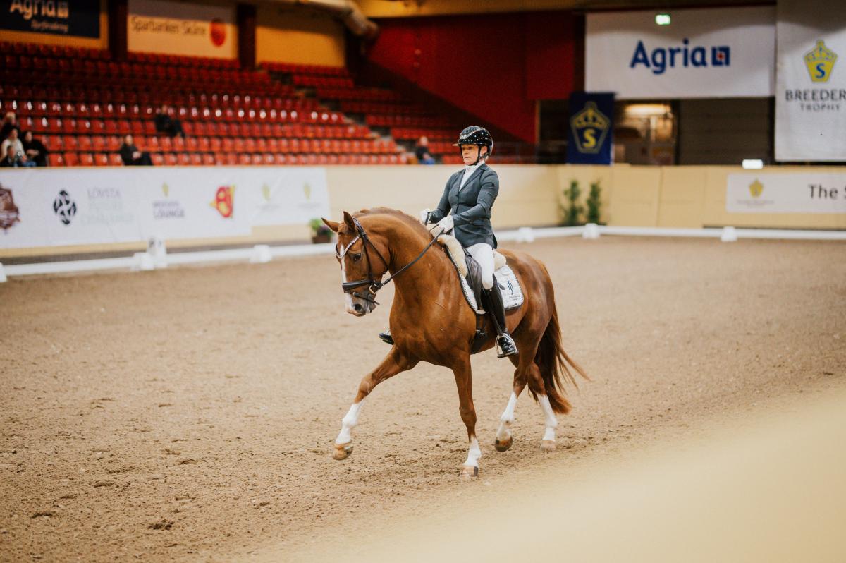 Severucci Ht 1477 under Breeders 2025. Foto: Ida Lindemann