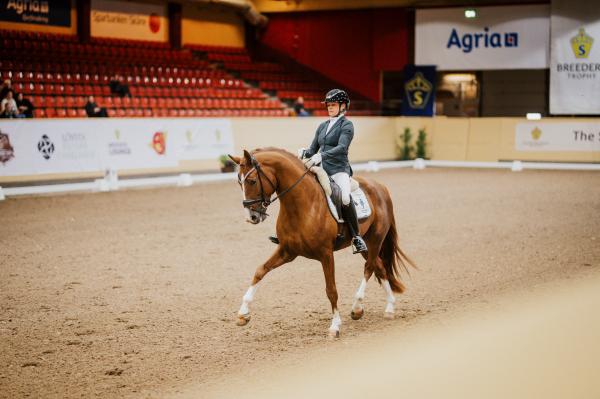 Severucci Ht 1477 under Breeders 2025. Foto: Ida Lindemann