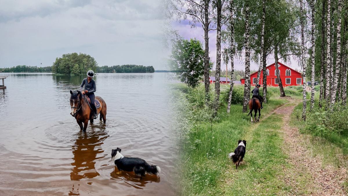 Gården där Elsa ridit sedan tonåren har nu blivit hennes egen. Foto: Privat