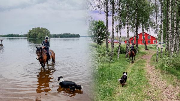 Gården där Elsa ridit sedan tonåren har nu blivit hennes egen. Foto: Privat
