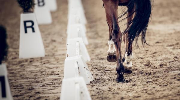 Arkivfoto: Adobe Stock