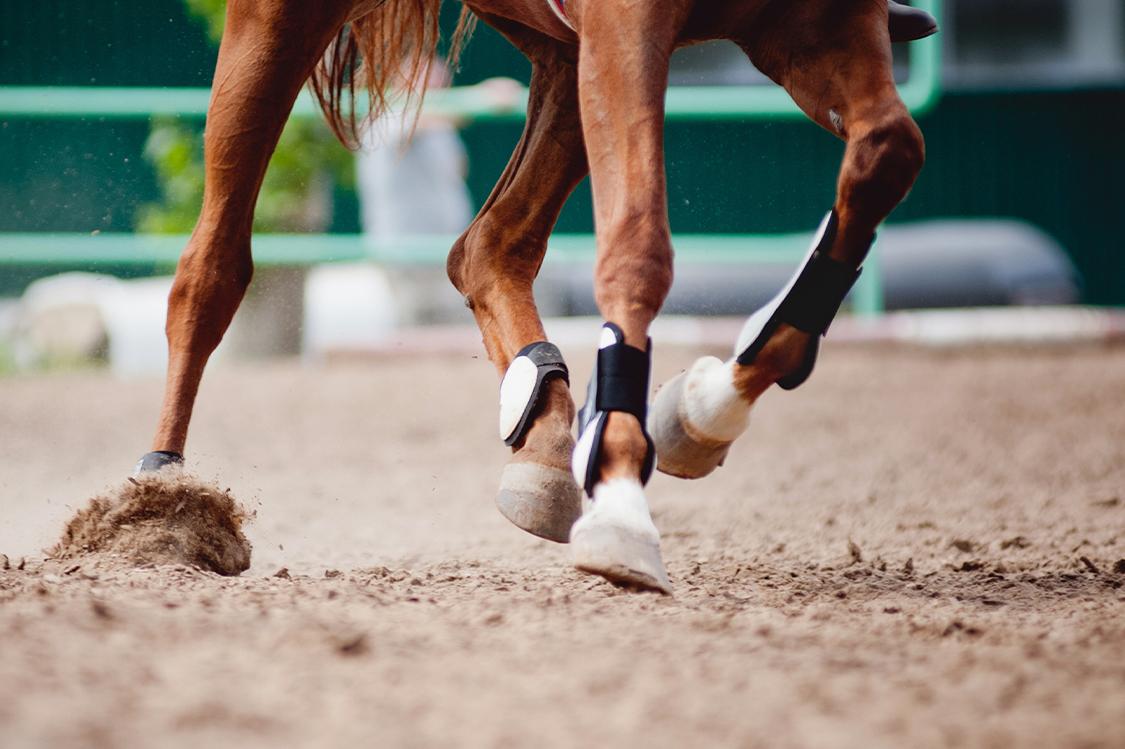 Arkivbild: Adobe Stock