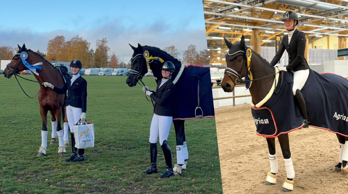 Vouge och Ivanna t.v samt Foxtrot t.h. Foto: Privat