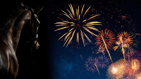 Arkivfoto: Adobe Stock