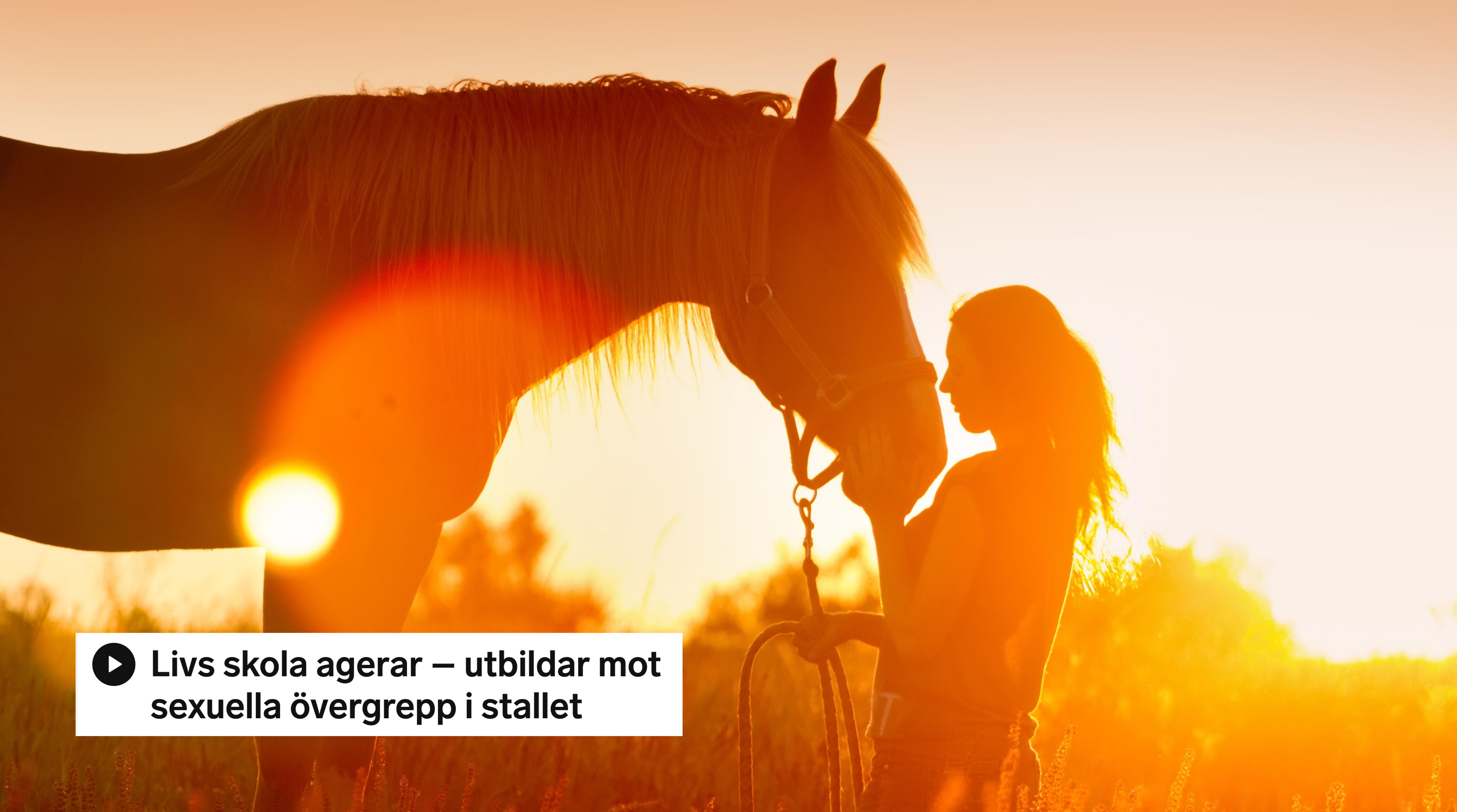 Arkivfoto: Adobe Stock