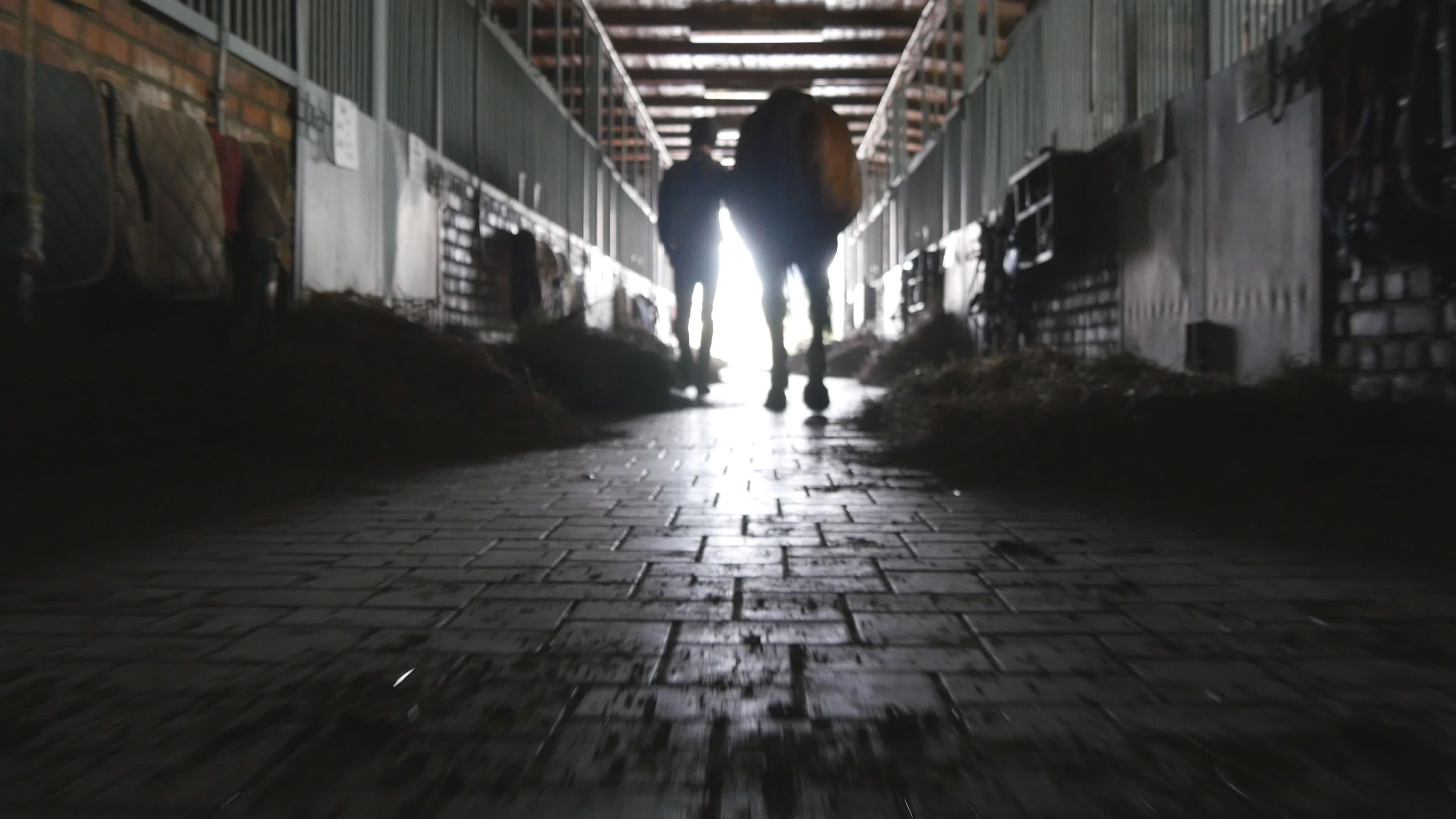 Genrebild som inte har med händelsen att göra. Foto: Adobe stock