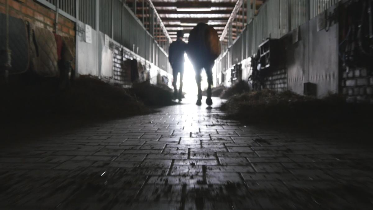 Genrebild som inte har med händelsen att göra. Foto: Adobe stock