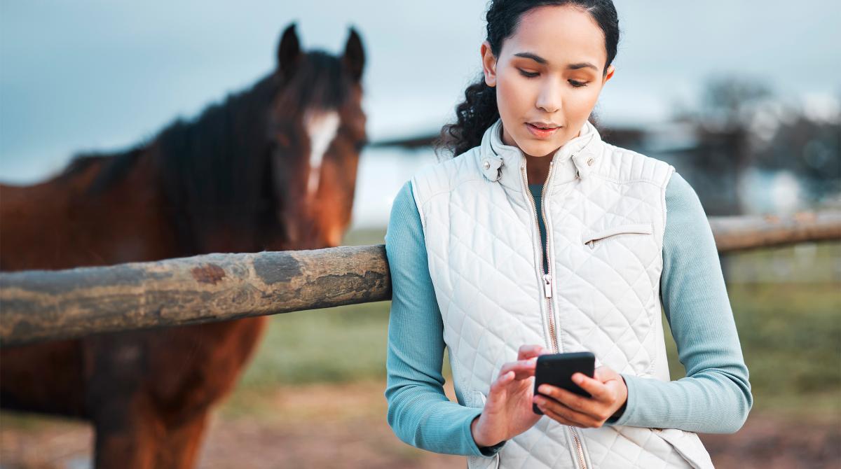 Arkivfoto: Adobe Stock