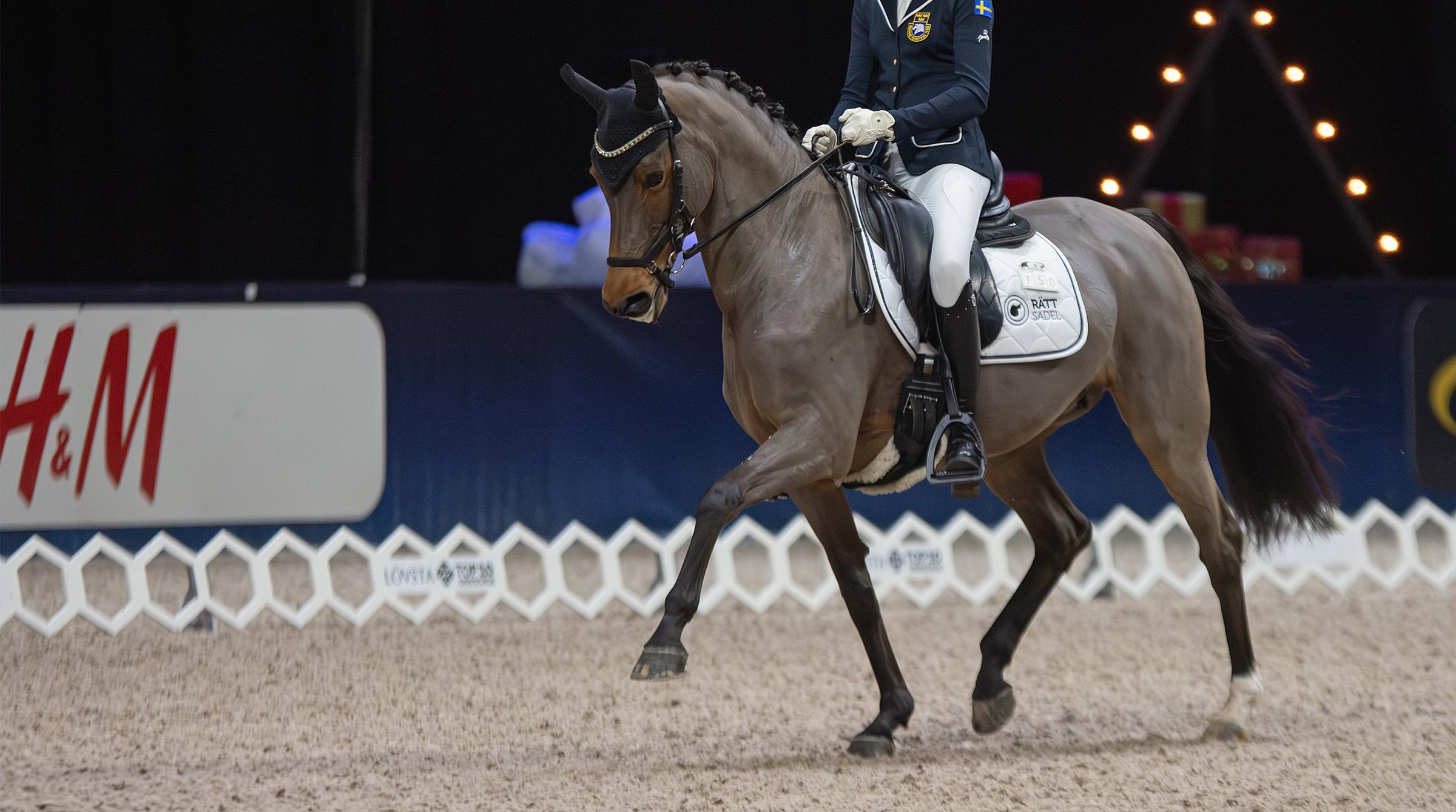 Hamiltons I did it My Way startade ponnyküren 2023 – men då med en annan ryttare. Arkivfoto: Jennie Börs