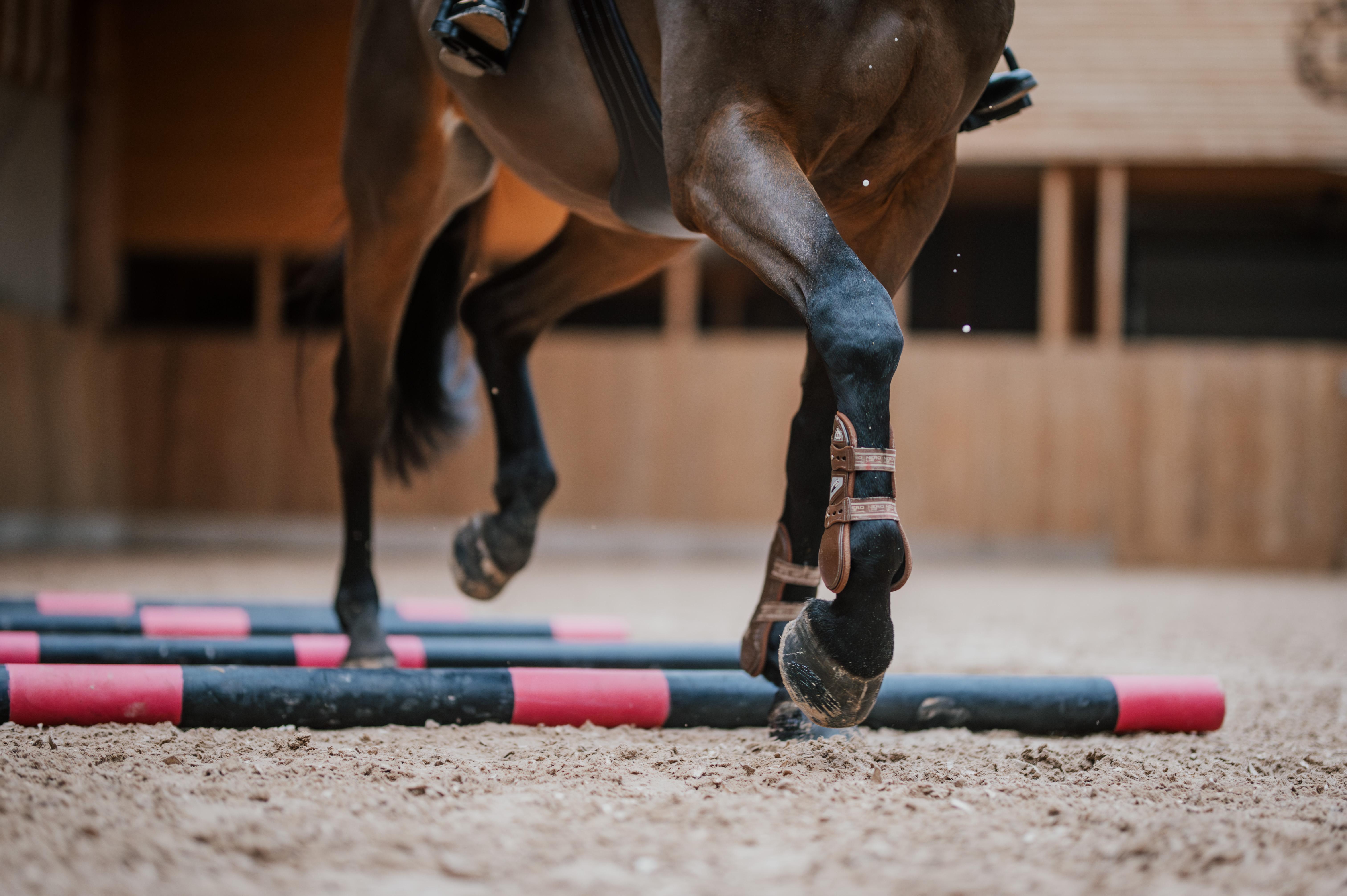 Arkivbild: Ida Lindemann