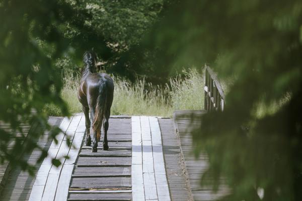 Arkivbild: Adobe Stock