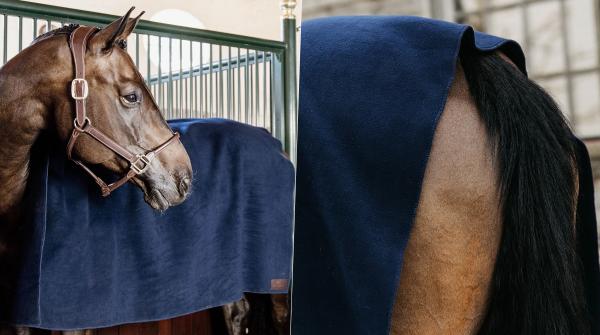 Vinn en fleecefilt från Kentucky