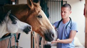 Arkivfoto: Adobe Stock