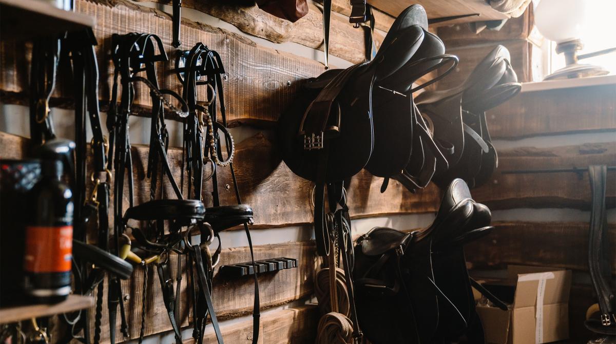 Arkivfoto: Adobe Stock