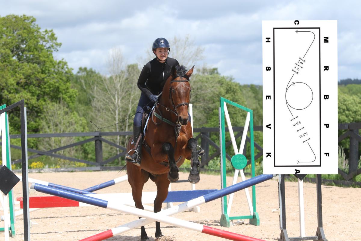 Mjuk häst av rätt sorts gympa