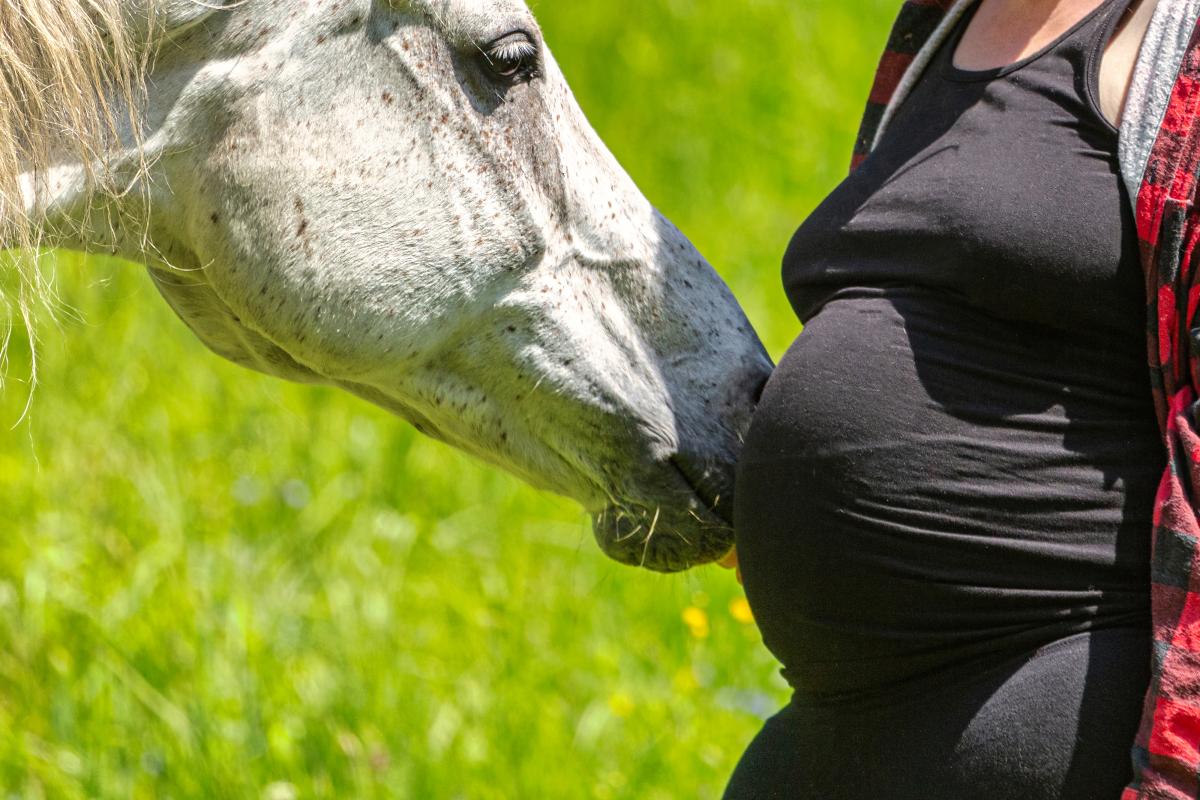 Arkivbild: Adobe Stock