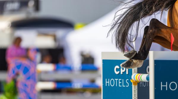 Arkivfoto: Adobe Stock