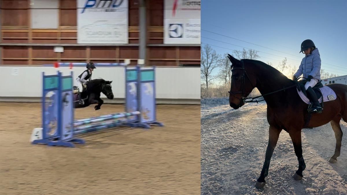 Lova på tävling med shettisen Lucy och unghästen Kalle. Foto: Privat