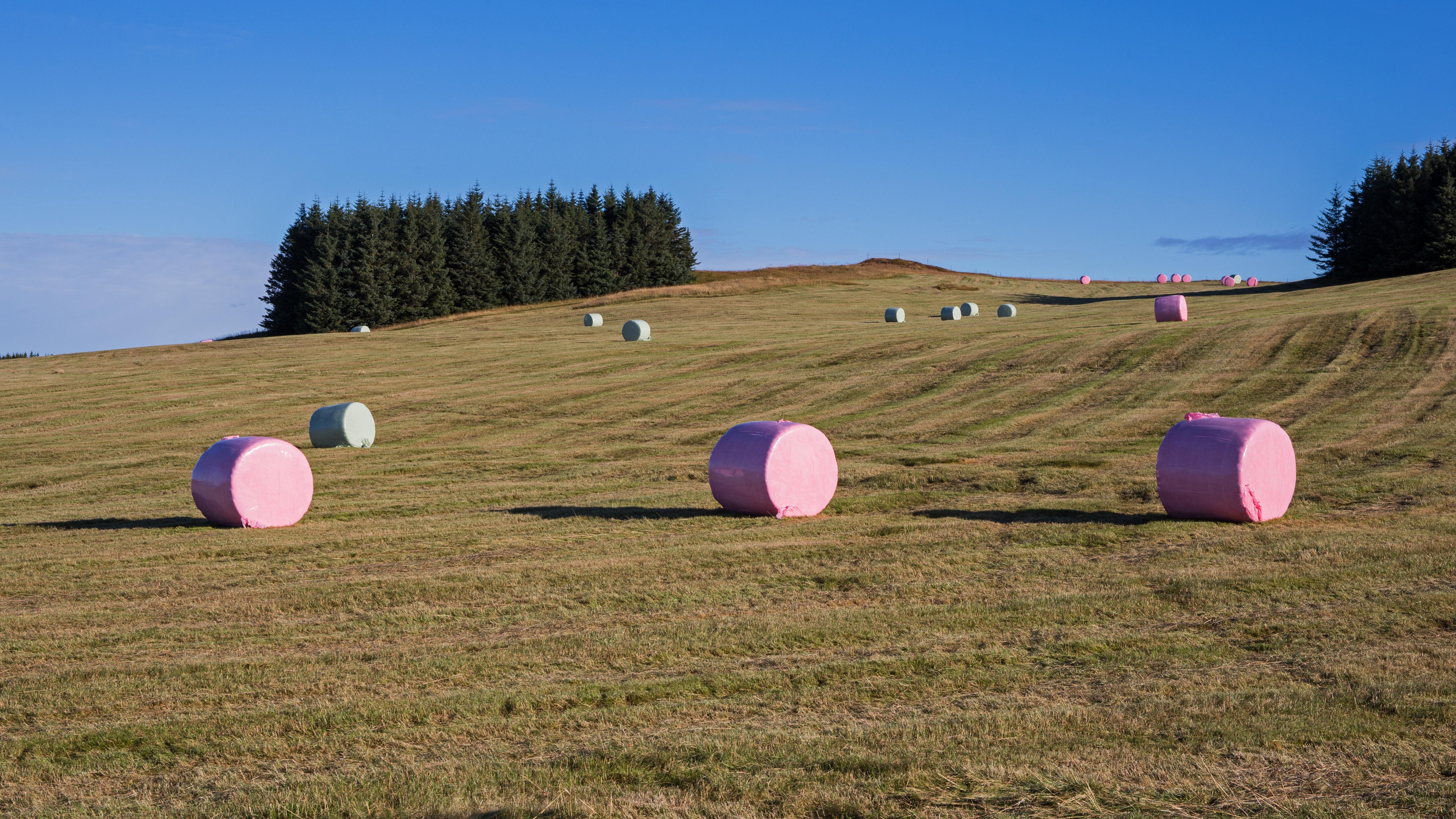 Arkivfoto: Adobe stock