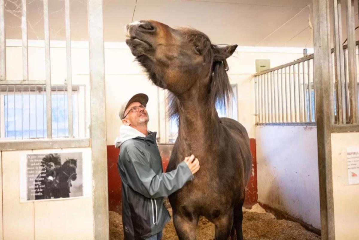 Thorbjørn Haldorsen och terapi-kallblodet Duracell. Foto: Sigve Nedredal vid Nationella kompetenstjänsten för dövblinda