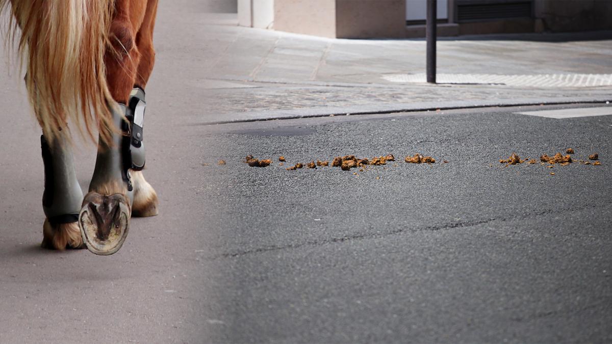 Arkivfoton: Adobe stock