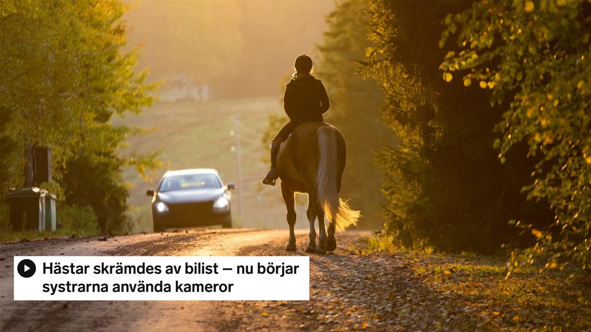 Arkivfoto: Adobe stock