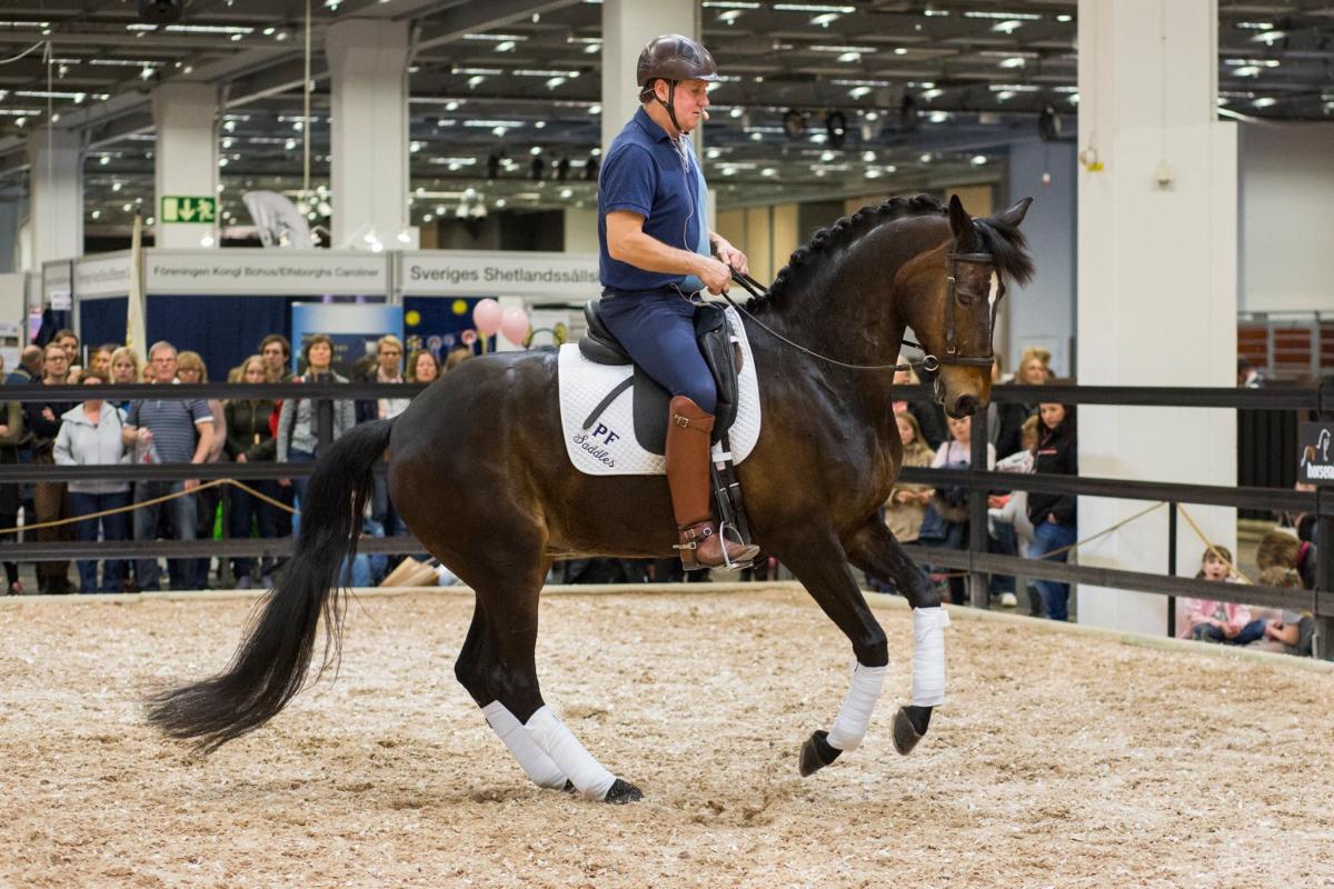 Det är fullt möjligt att rida med samma mjuka kontakt som dressyren kräver – även med sidepull, menar Per Waaler. Foto: Privat