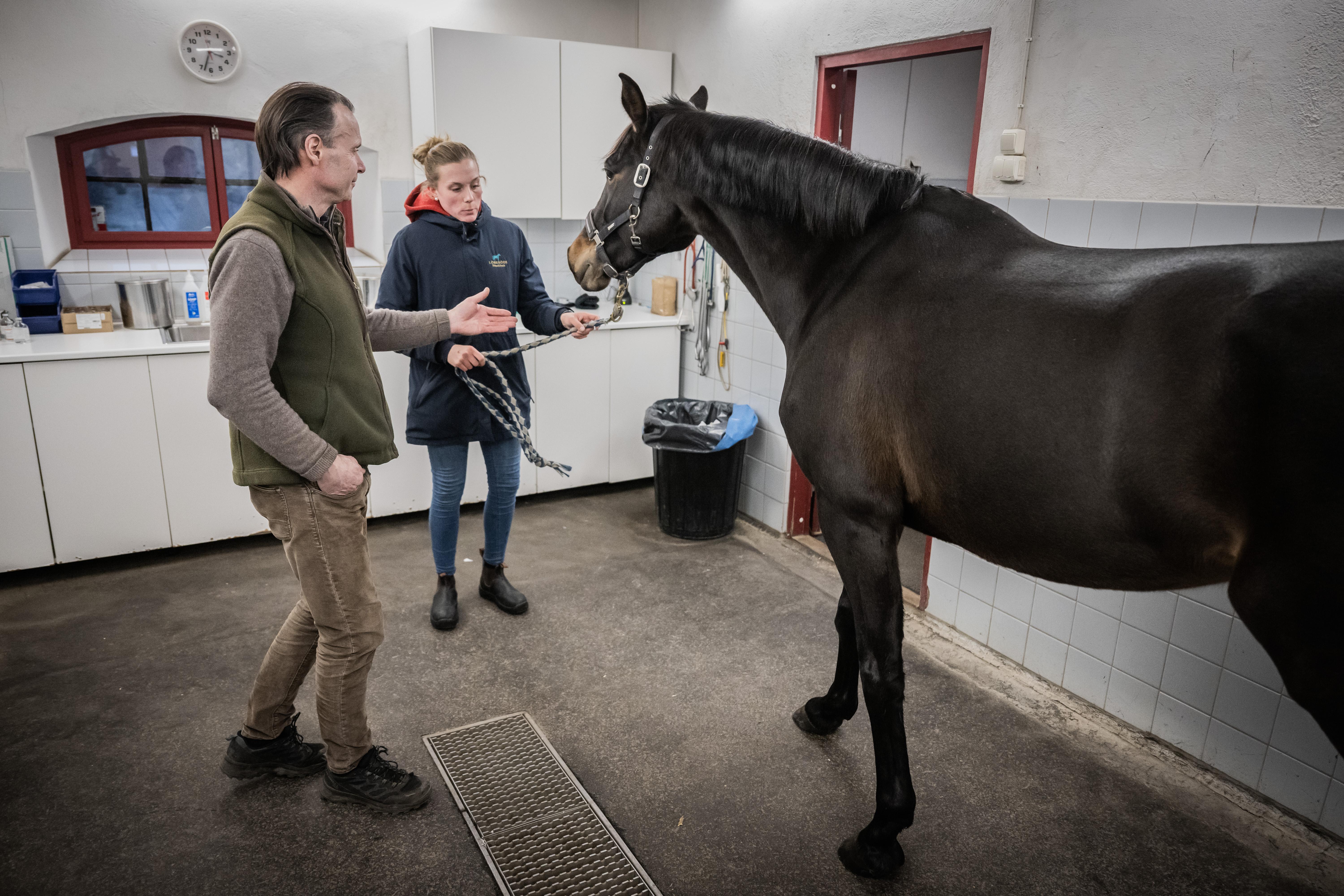 Genrebild. Foto: Petter Arvidson/Bildbyrån