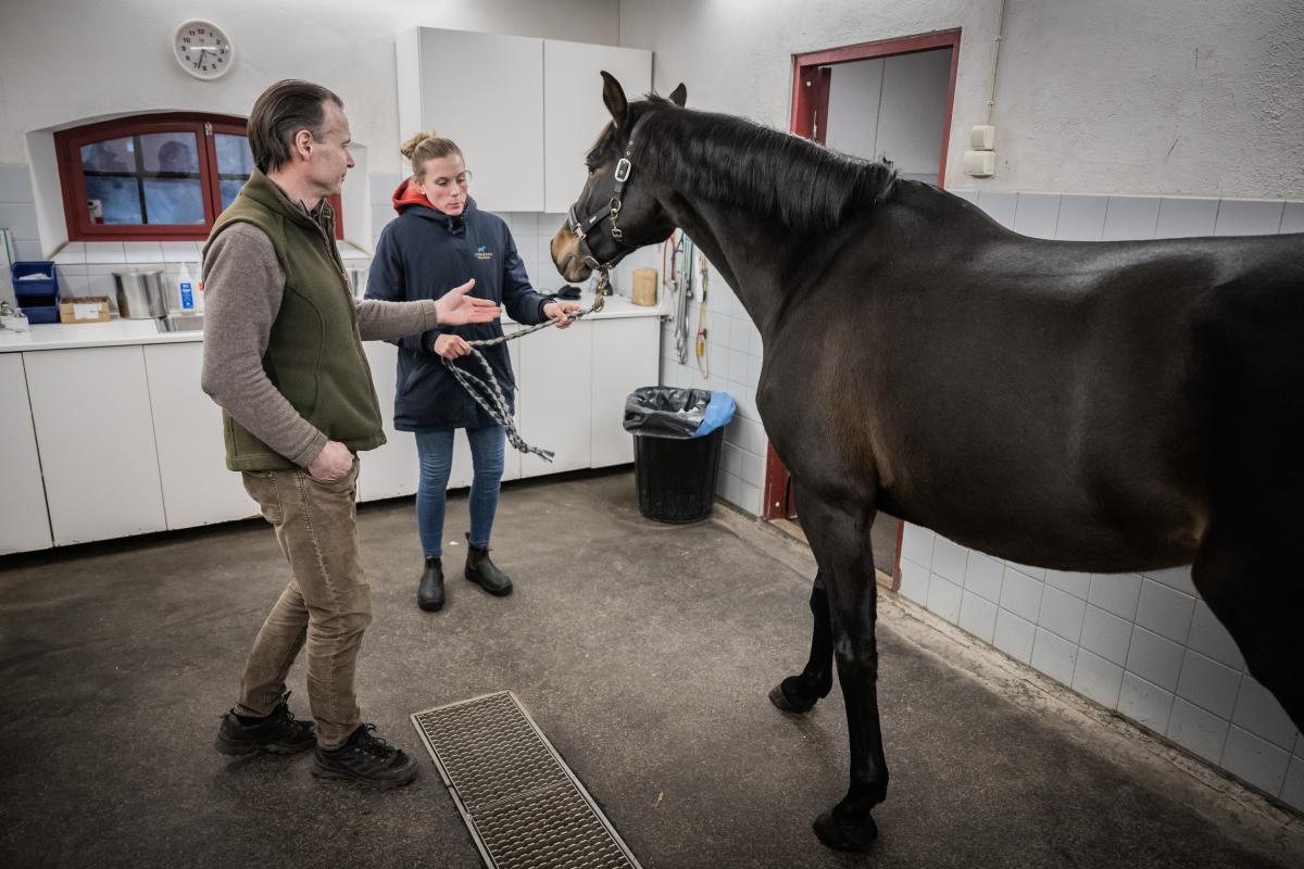Genrebild. Foto: Petter Arvidson/Bildbyrån