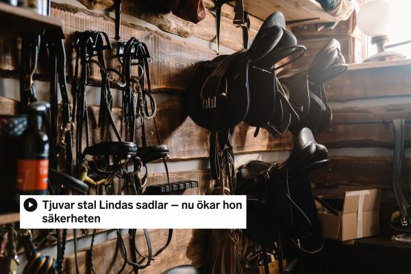 Arkivfoto: Adobe stock