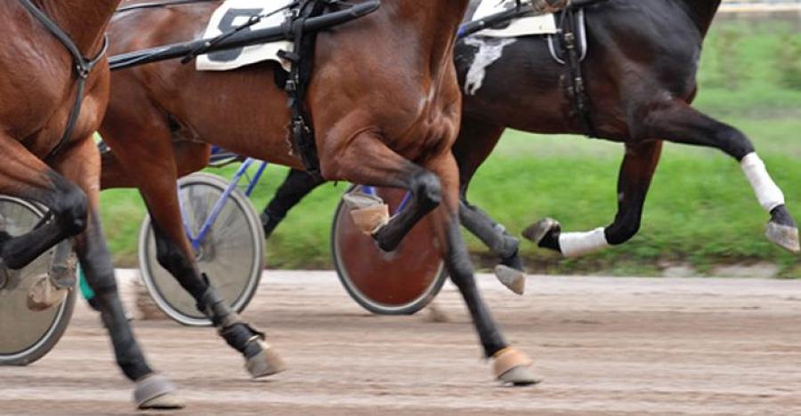 Arkivfoto: Adobe Stock