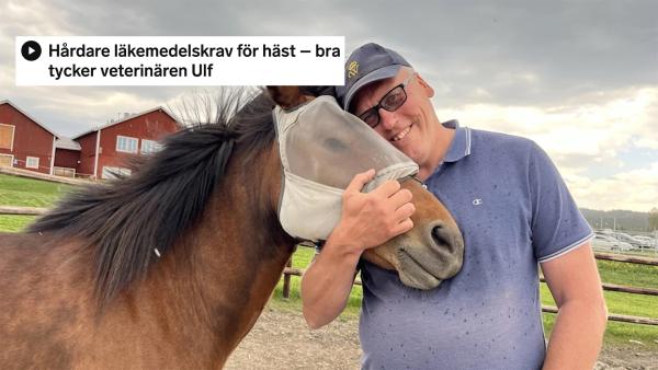 Veterinären Ulf Hedenström. Foto: Saga Haraldsson/Sveriges Radio