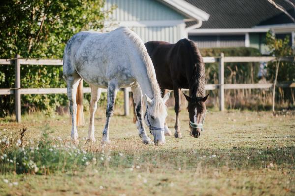Arkivfoto: Ida Lindemann