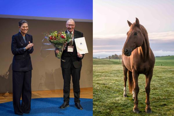 Kronprinsessan Victoria överlämnar Stora forskningspriset i veterinärmedicin till den allra första mottagaren, professor Henrik Elvang Jensen vid prisceremonin på SLU. Patrik Ekenblom