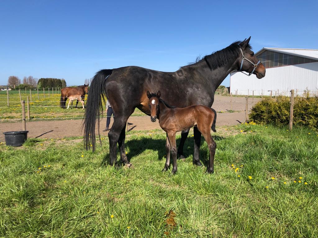 Candy när hon var liten. Foto: Privat