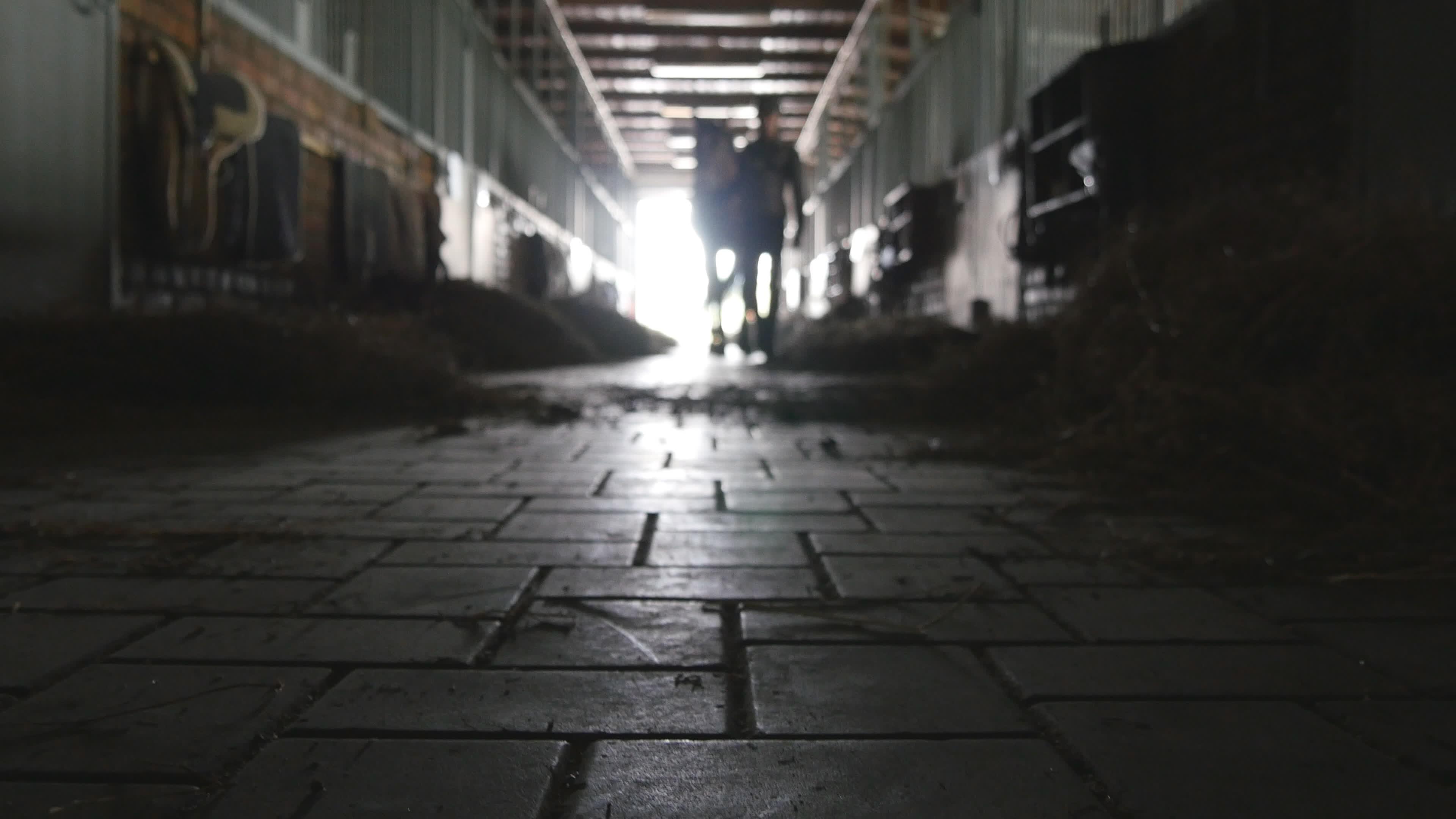 Arkivfoto: Adobe stock