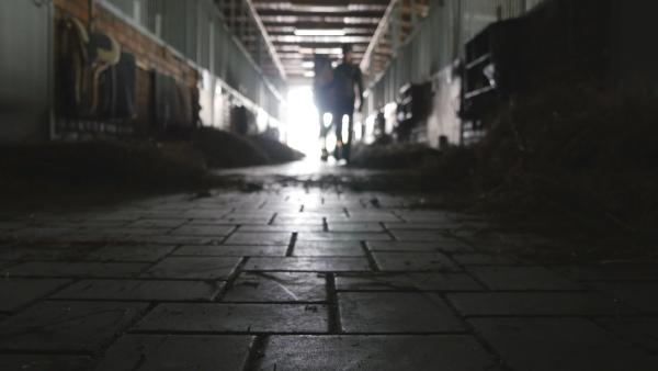 Arkivfoto: Adobe stock