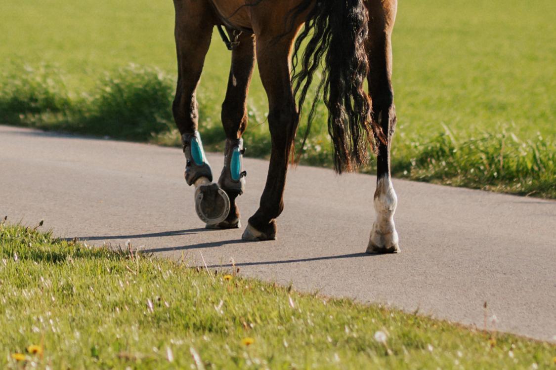 Arkivbild: Ida Lindemann