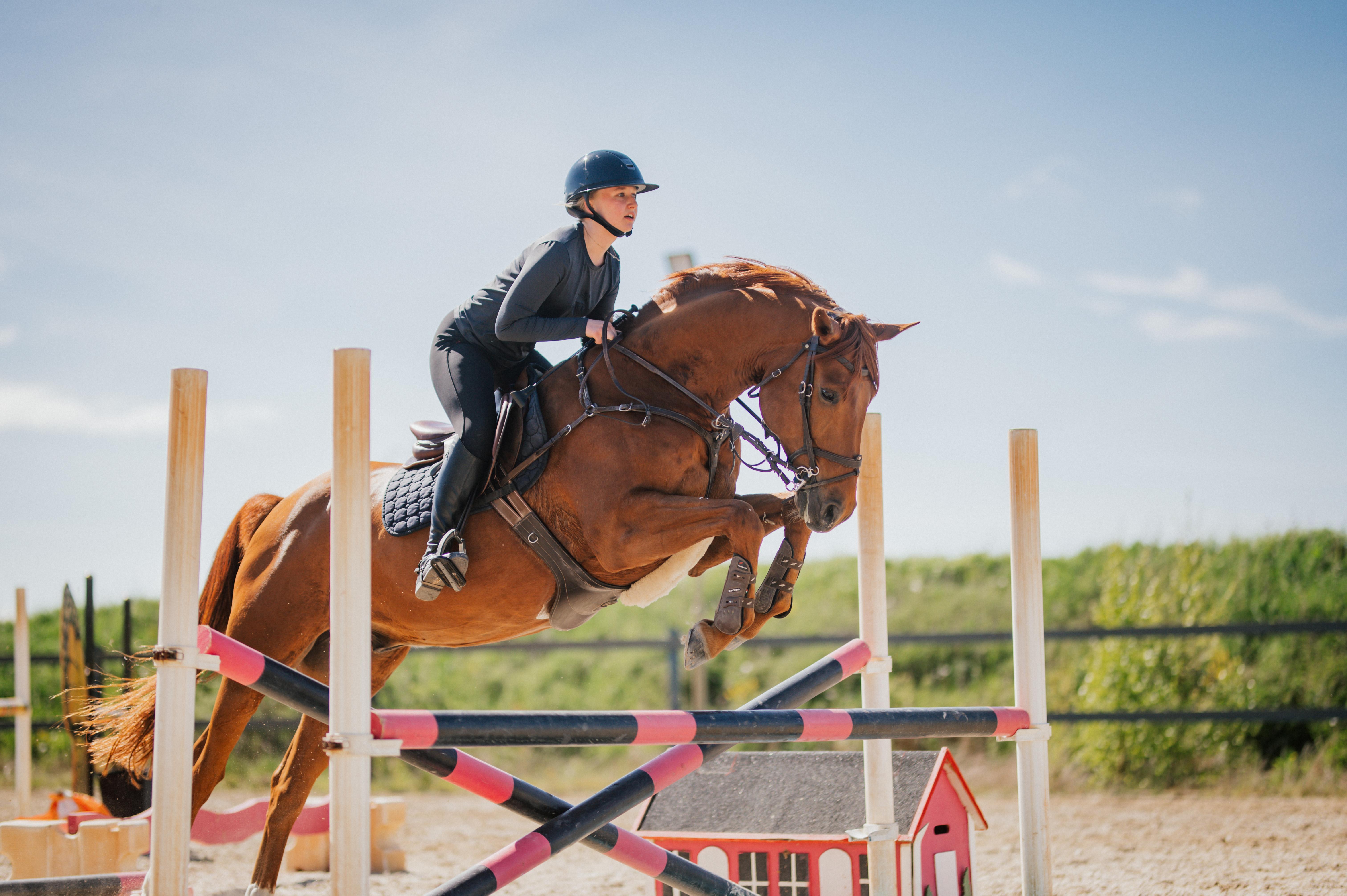 Arkivbild: Ida Lindemann