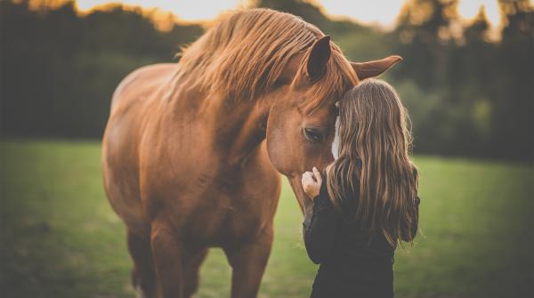 Arkivfoto: Adobe Stock