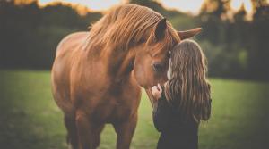 Arkivfoto: Adobe Stock