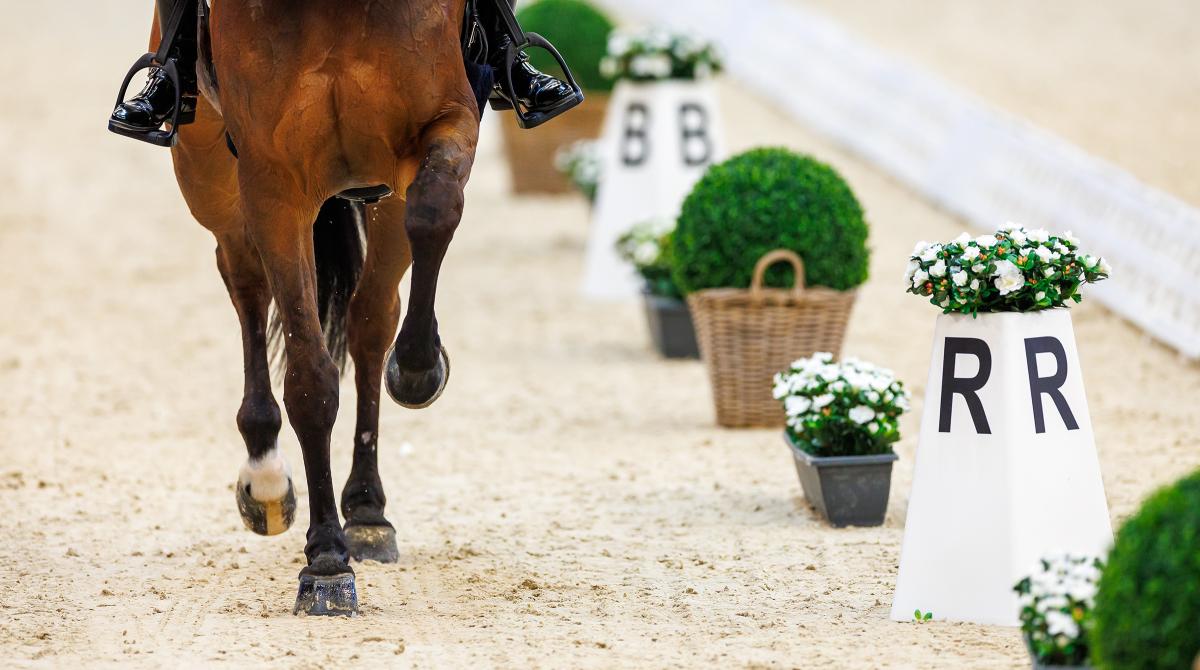 Foto: Tomas Holcbecher