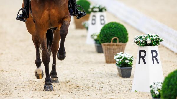 Foto: Tomas Holcbecher