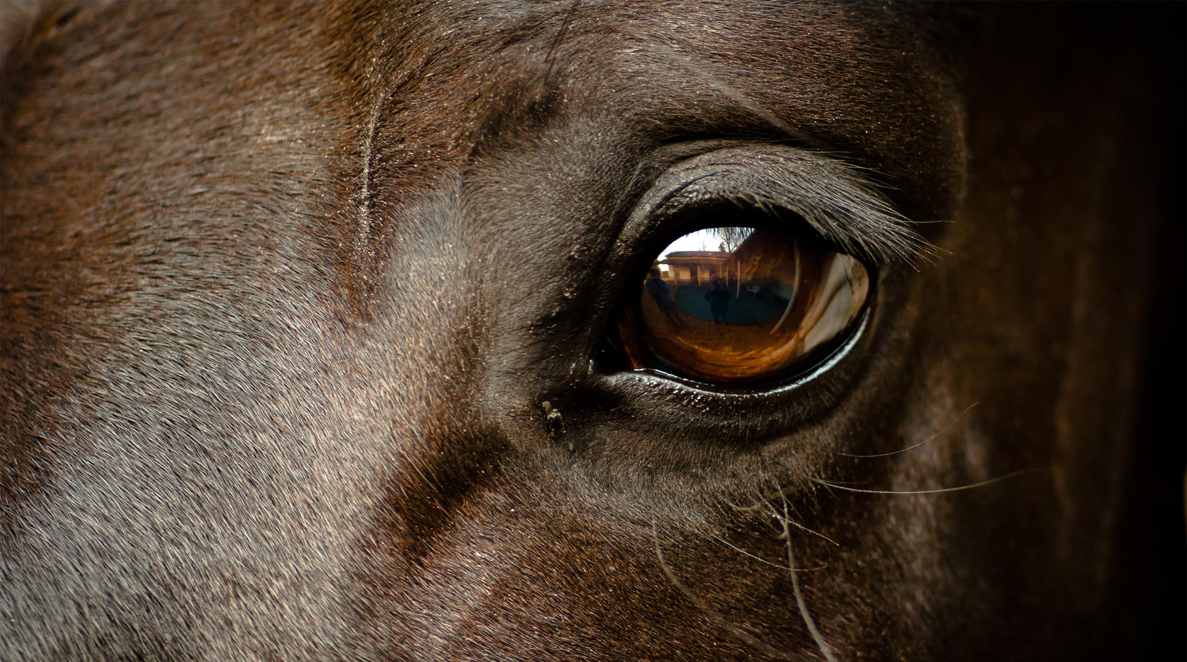 Arkivfoto: Adobe Stock