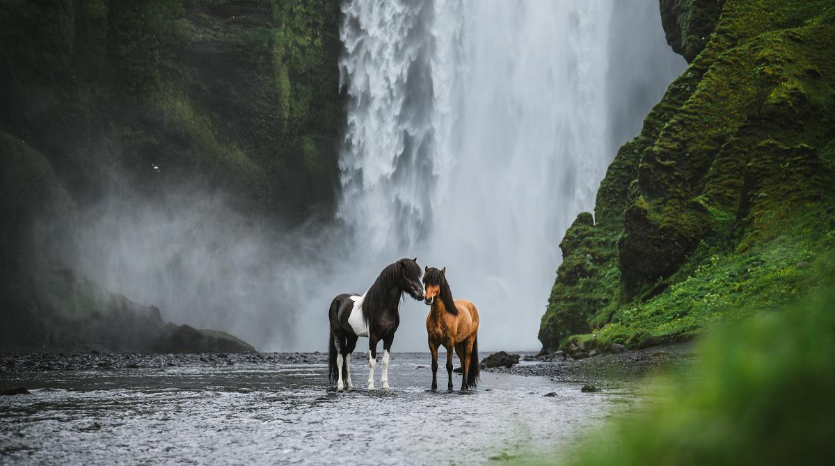 Årets vinnare i "Känslosamma porträtt". Foto: Clara Nilsson
