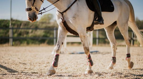 Foto: Joanna Sjöberg