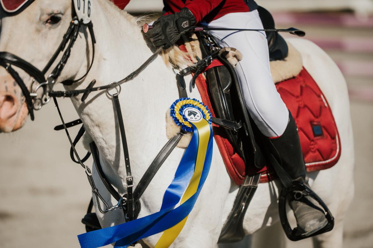 Arkivbild: Ida Lindemann